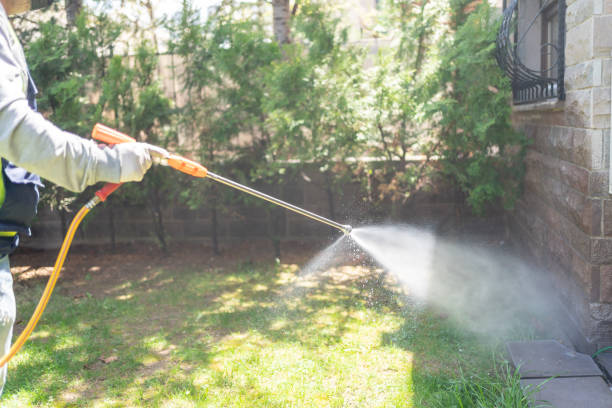Best Insect Control  in Houston, MS