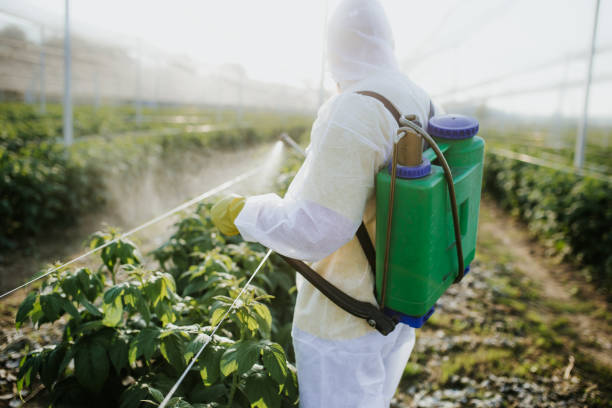 Best Best Pest Control Companies  in Houston, MS